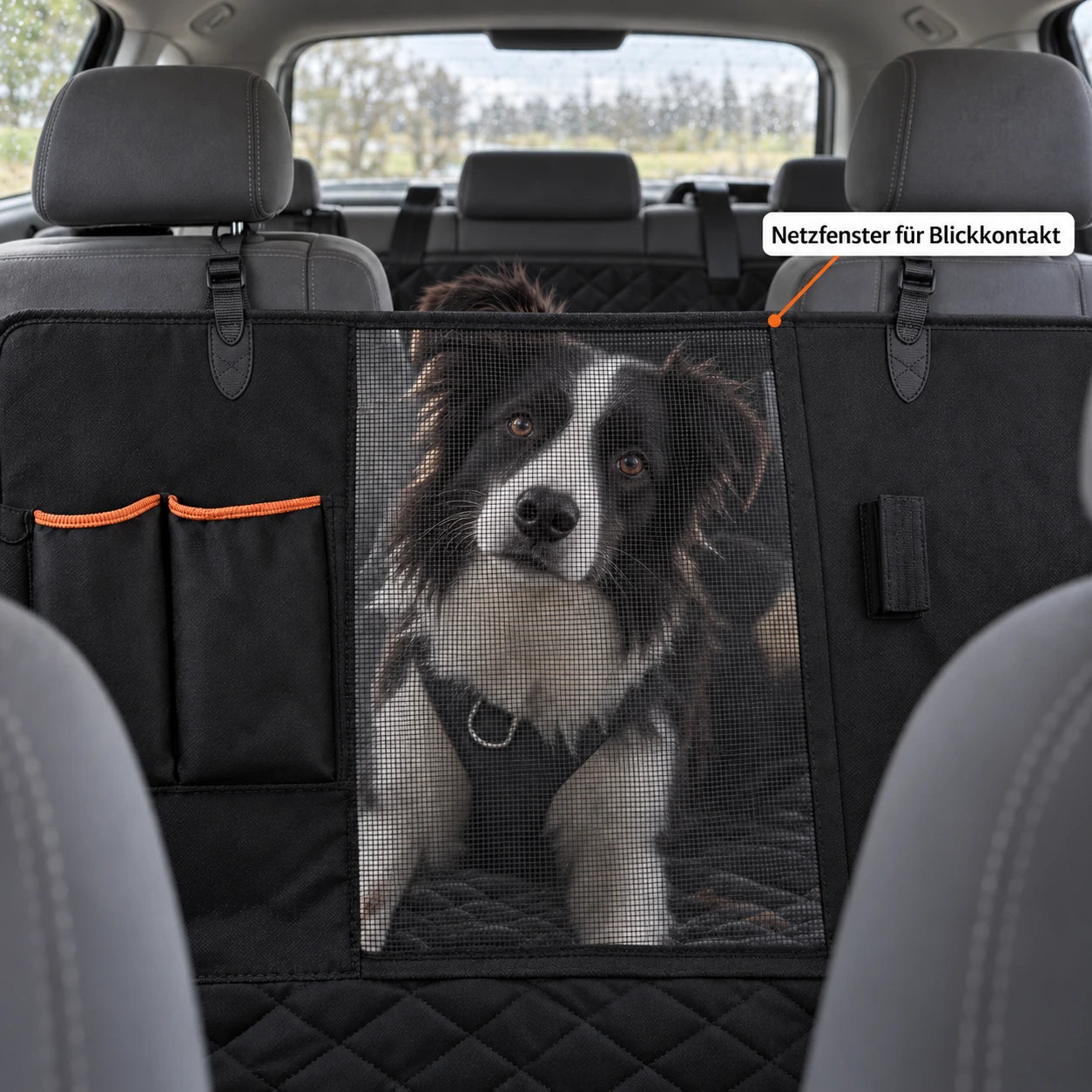 Ein Border Collie schaut aus dem geparkten Auto durch das schwarze Netzfenster; Pfeil zeigt den Durchblick