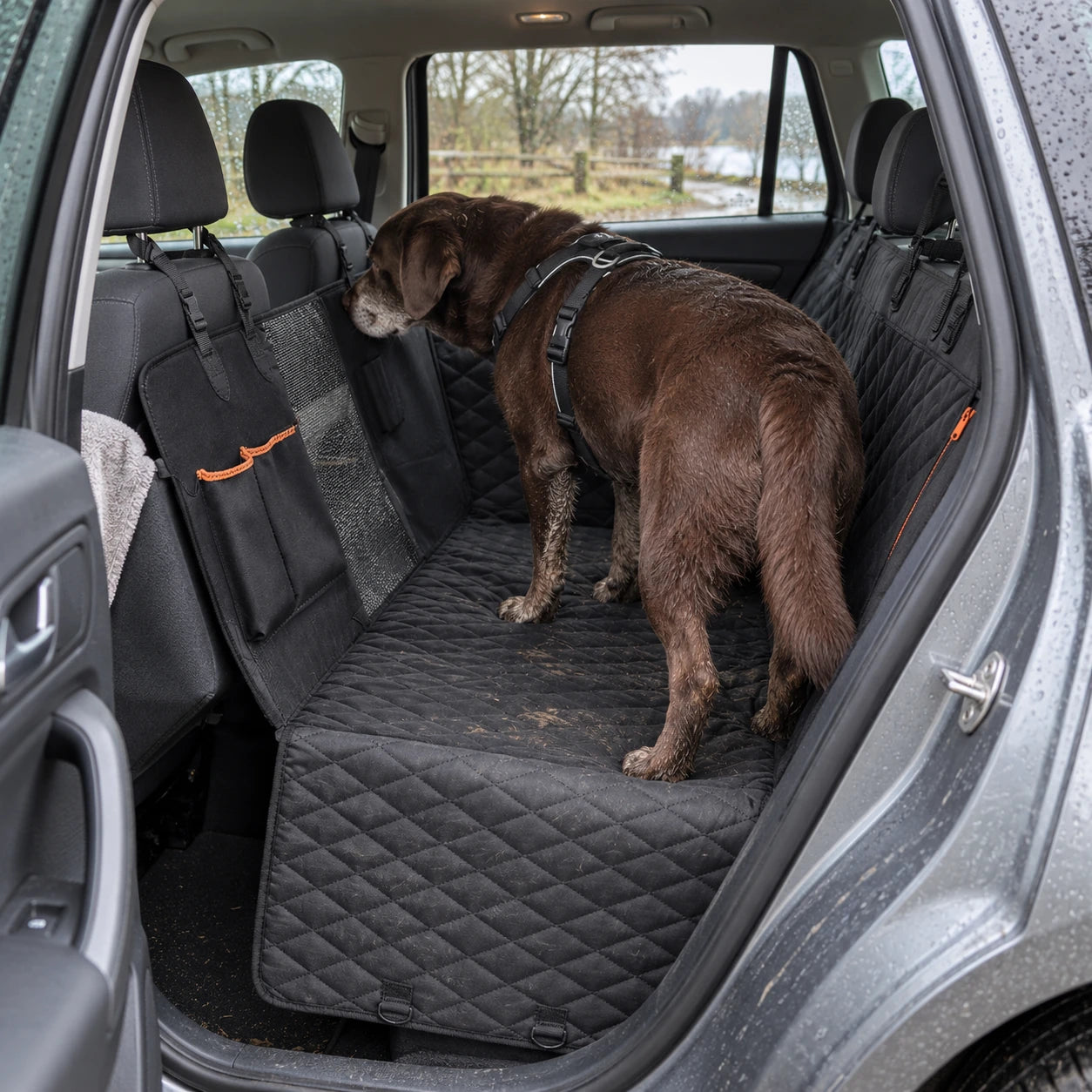 Hund im Geschirr auf der Hundematte nach einem nassen Spaziergang; geparktes, alltäglich genutztes Auto
